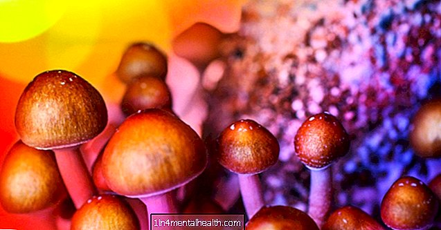 Co jsou magické houby a psilocybin?