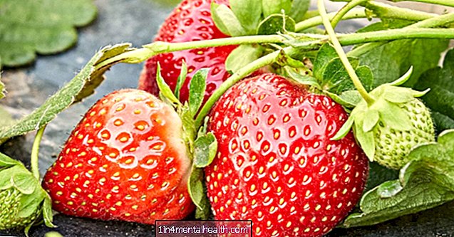 Mohou být lidé alergičtí na jahody? - alergie