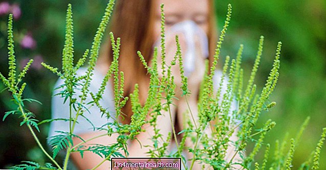 Алергія на амброзію: що це таке, і яких продуктів слід уникати