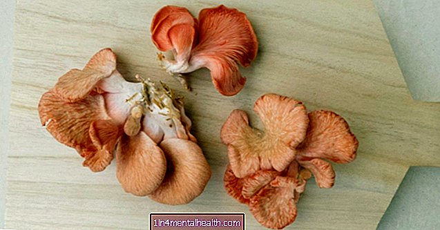Czy jedzenie grzybów chroni zdrowie mózgu? - choroba Alzheimera - demencja