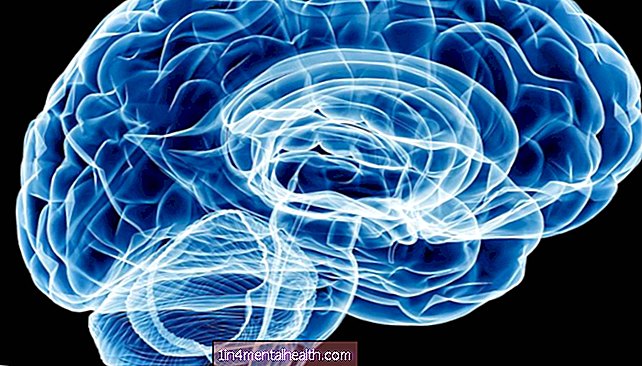 Студија мозга истражује молекуларно порекло анксиозности