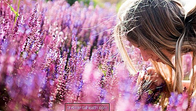 Hilft Lavendel wirklich bei Angstzuständen? - Angst - Stress