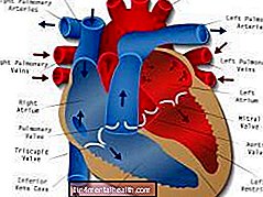 Co je srdeční blok? - arytmie