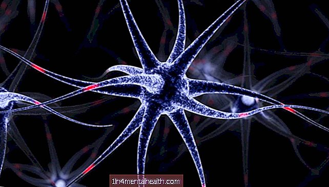 Možganske "podporne celice" igrajo aktivno vlogo pri spominu in učenju - biologija - biokemija
