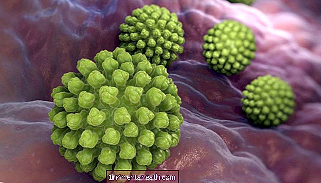 Bağırsak mikrobiyotası rotavirüsü 'önleyebilir ve iyileştirebilir'