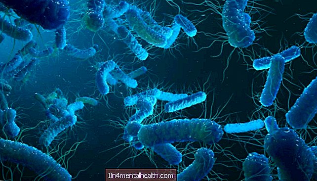 Инфекции: как наш организм узнает, когда нужно отомстить? - биология - биохимия