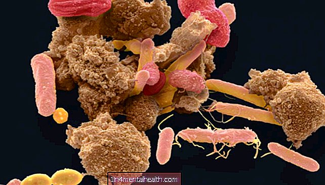Nanopartikel in Lebensmitteln können das Verhalten von Darmbakterien verändern - Biologie - Biochemie