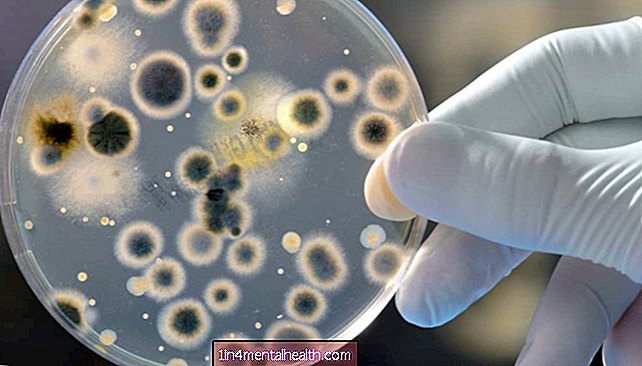 Probiotikum, ktoré ničí baktérie rezistentné na antibiotiká - biológia - biochémia