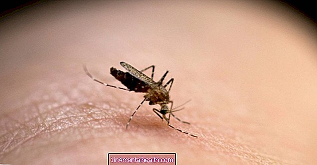 Zakaj piki komarjev srbijo in otekajo? - ugrizi in piki