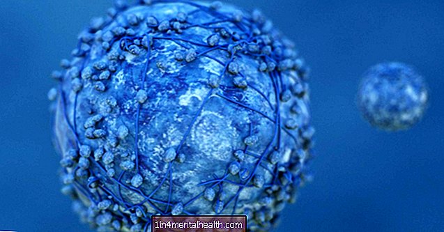 Створене антитіло викликає імунну систему для знищення ракових клітин