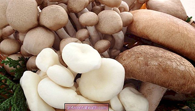Mangiare funghi potrebbe ridurre il rischio di cancro alla prostata