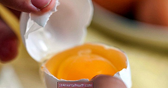 Vše, co potřebujete vědět o vaječném žloutku