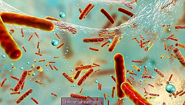 cáncer colonrectal - ¿Las bacterias intestinales afectan el desarrollo del cáncer de intestino?