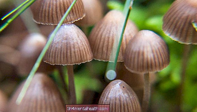 Cogumelos mágicos: tratamento da depressão sem entorpecer as emoções