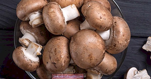 Jaka jest wartość odżywcza grzybów?