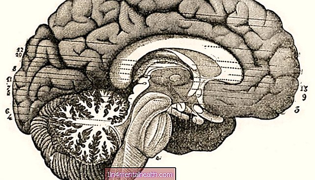 Hjernen finder en måde at tilpasse sig, selv når vi fjerner halvdelen - epilepsi