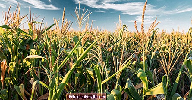 Які плюси та мінуси ГМО продуктів? - харчова алергія