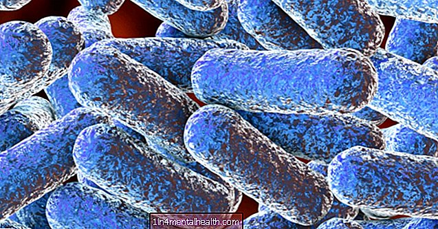 Bağırsak bakterileri multipl skleroz için ipuçları sunar - gastrointestinal - gastroenteroloji
