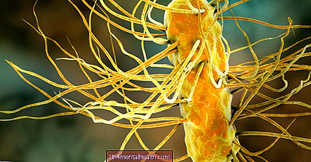 Hoe bacteriële gastro-enteritis te behandelen en te voorkomen - gastro-intestinaal - gastro-enterologie