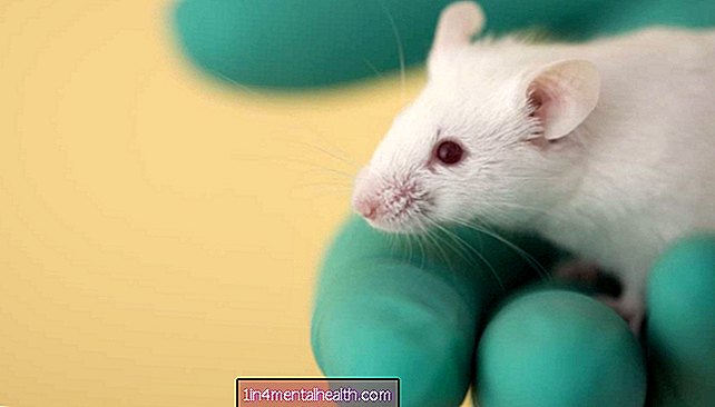 Μελέτη ποντικιού ρίχνει νέο φως στο σχηματισμό λίπους