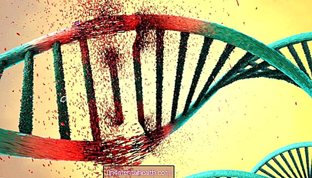 Skizofreni: Gener relateret til døgnrytme kan blive forstyrret - genetik