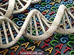 geneetika - Mis on DNA ja kuidas see töötab?