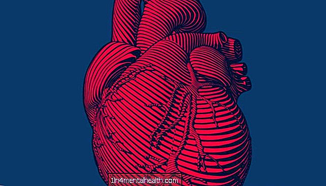 Kodėl jūsų žarnynas gali turėti širdies ir kraujagyslių sveikatos raktą