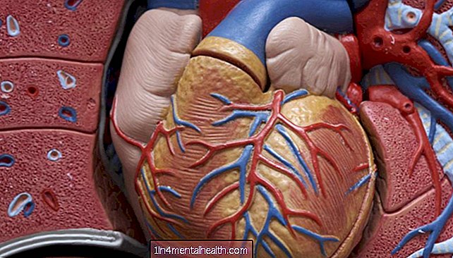 Zāles, kuru mērķis ir ķermeņa pulkstenis, var novērst sirdslēkmes bojājumus - sirds slimība