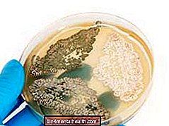 Hogyan hatnak a penicillinek? - fertőző betegségek - baktériumok - vírusok