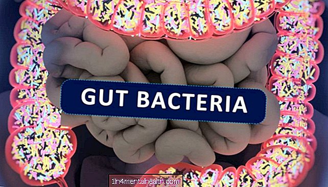 Mungkinkah mensasarkan bakteria usus dapat mencegah autoimun? - lupus