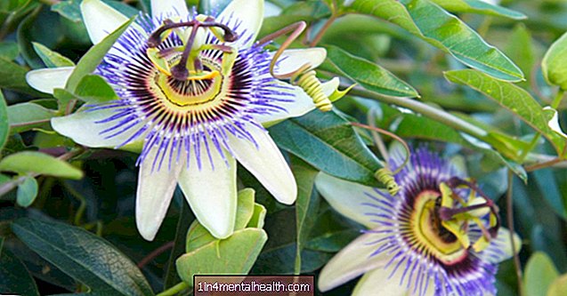 Benefici della passiflora per ansia e insonnia - menopausa