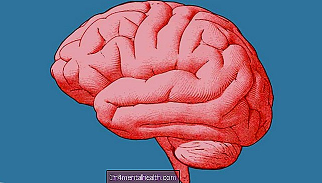 Stymulacja mózgu za pomocą ultradźwięków może wpływać na decyzje - mri - pet - USG
