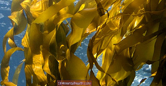 Deniz yosunu özü yeni ilaçların tasarlanmasına yardımcı olabilir - mrsa - ilaç direnci