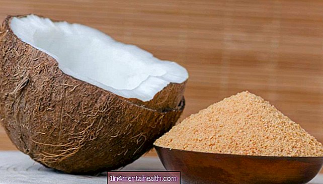 Kokosový cukr: Je to pro vás dobré? - výživa - strava