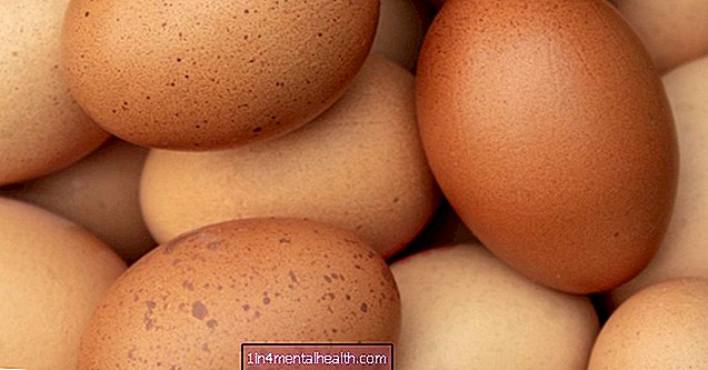 Alles, was Sie über Eier wissen müssen