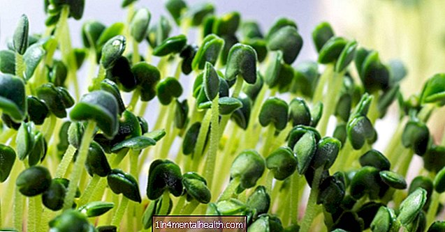Manfaat kesihatan microgreens - pemakanan - diet