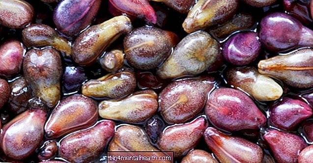 ¿Cuáles son los beneficios del extracto de semilla de uva? - nutrición - dieta