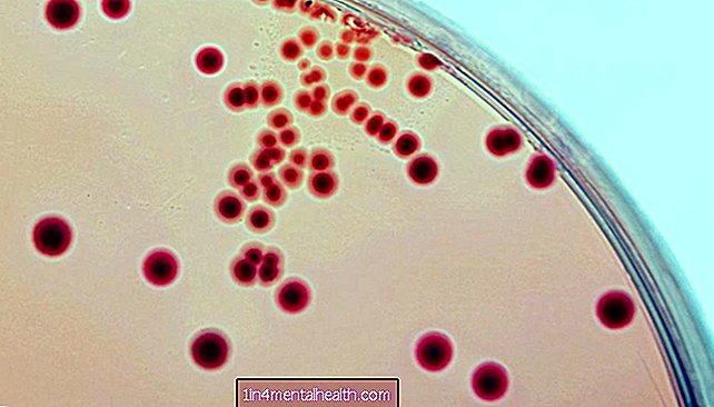 Las bacterias UTI resistentes a los medicamentos pueden esconderse en el intestino - infección del tracto urinario