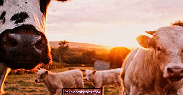 „Антибиотичната резистентност при селскостопанските животни бързо нараства“