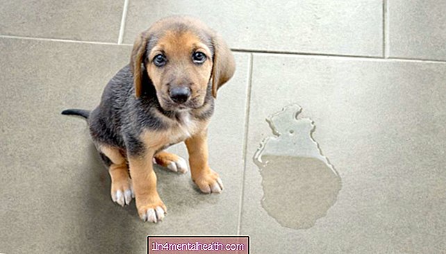 Наказанието може да направи кучето ви по-песимистично - ветеринарен